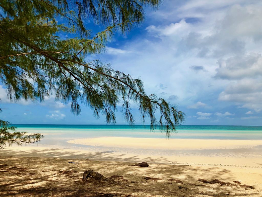 View of pristine beach and turquoise waters