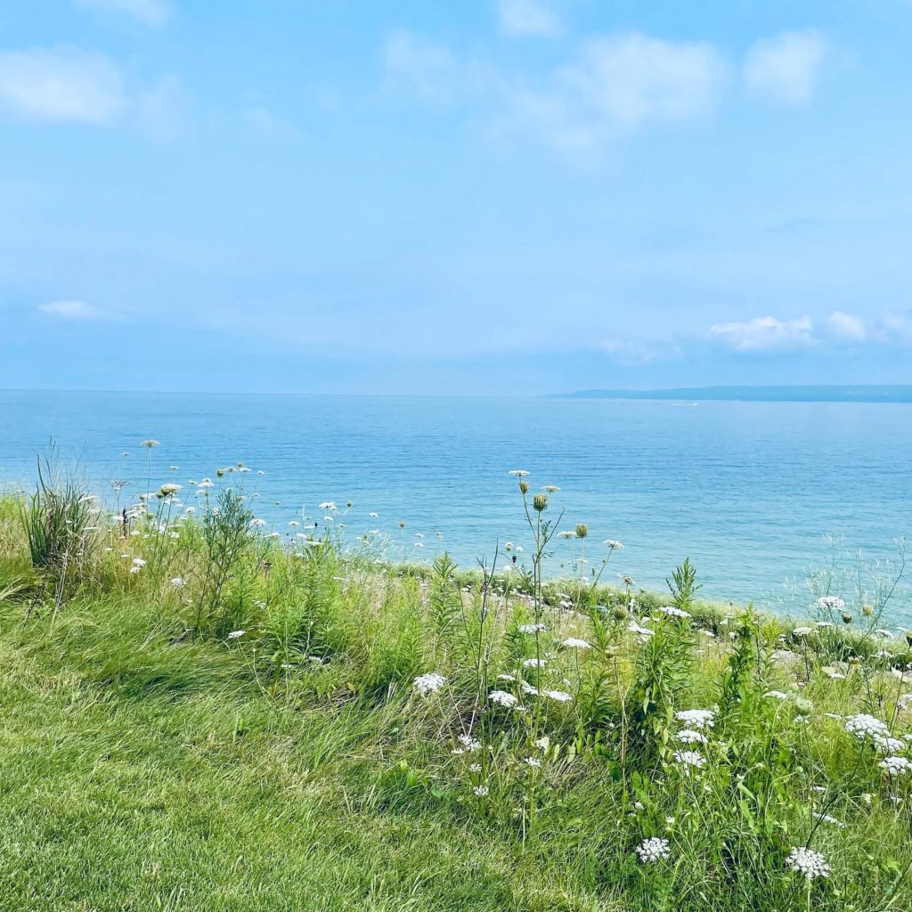 Lake Michigan with green grass and wild flowers