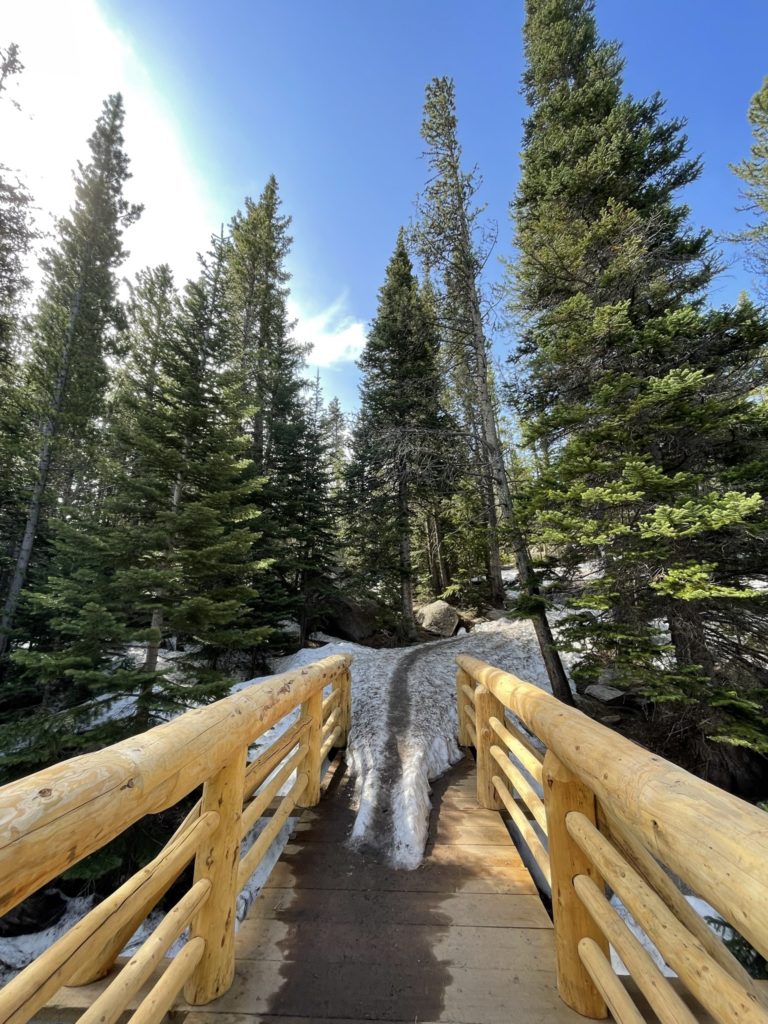 Wood bridge into a snowy trail through tall trees