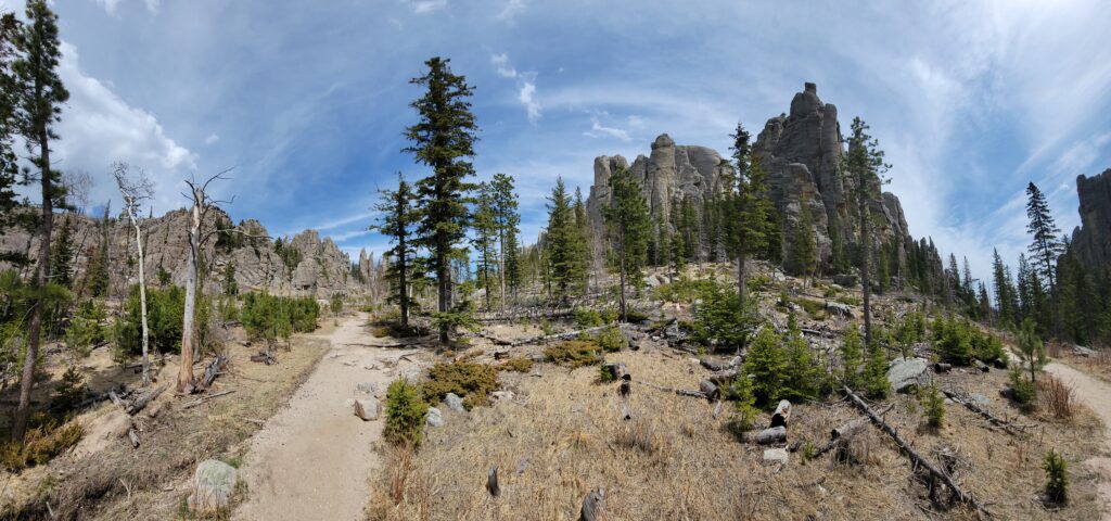 Granite spires along the Cathedral Spires trail with trees and blue skey