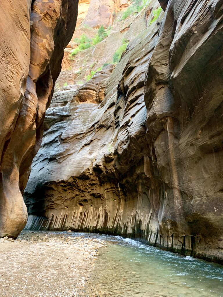 Calm Virgin River carves its way along sheer rock walls with a rocky river bed and green foliage