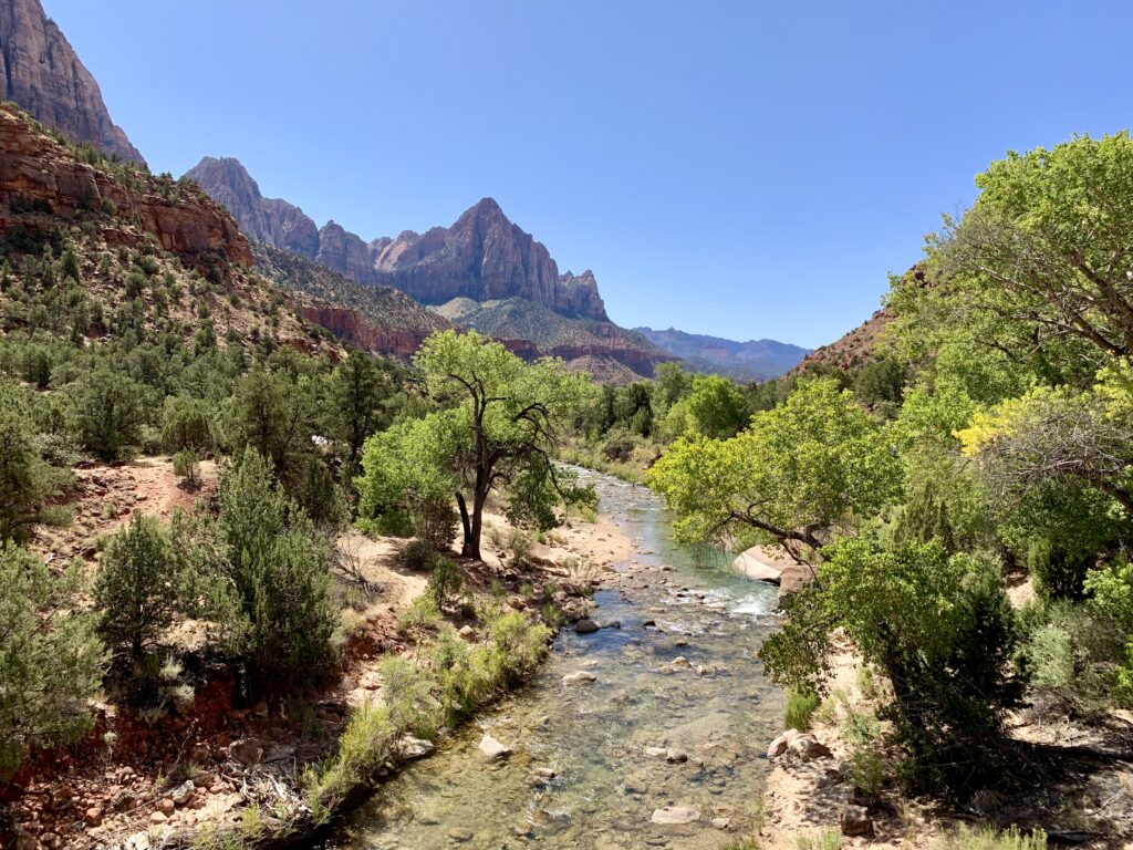 River runs through a deep canyon with reddish pink walls with green trees and vegetation and blue sky