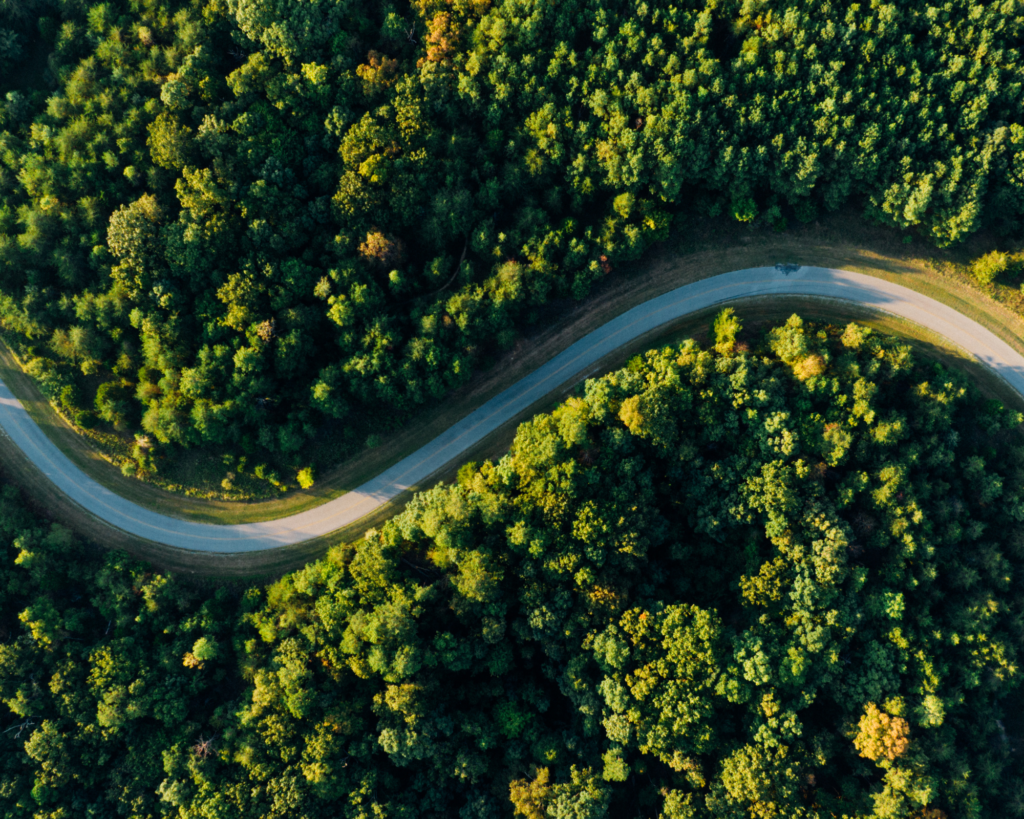 view of road above as it curves between a forest of green trees