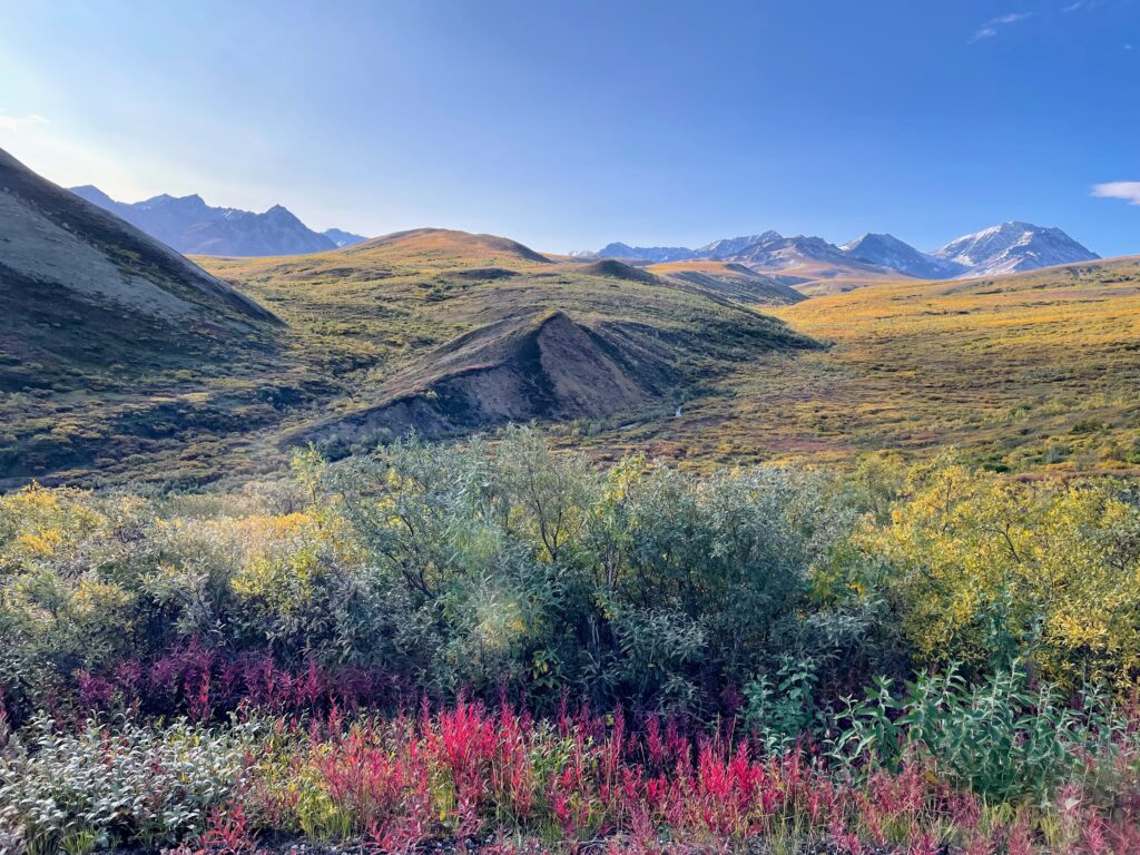 Landscape with blue sky, mountain tops, green hills, and red and green shrubbery