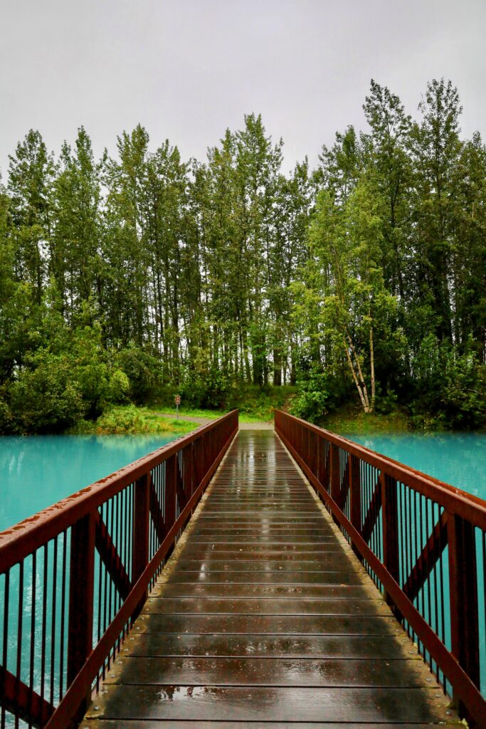 View of wooden bridge over bright turquoise water leading into tall green trees
