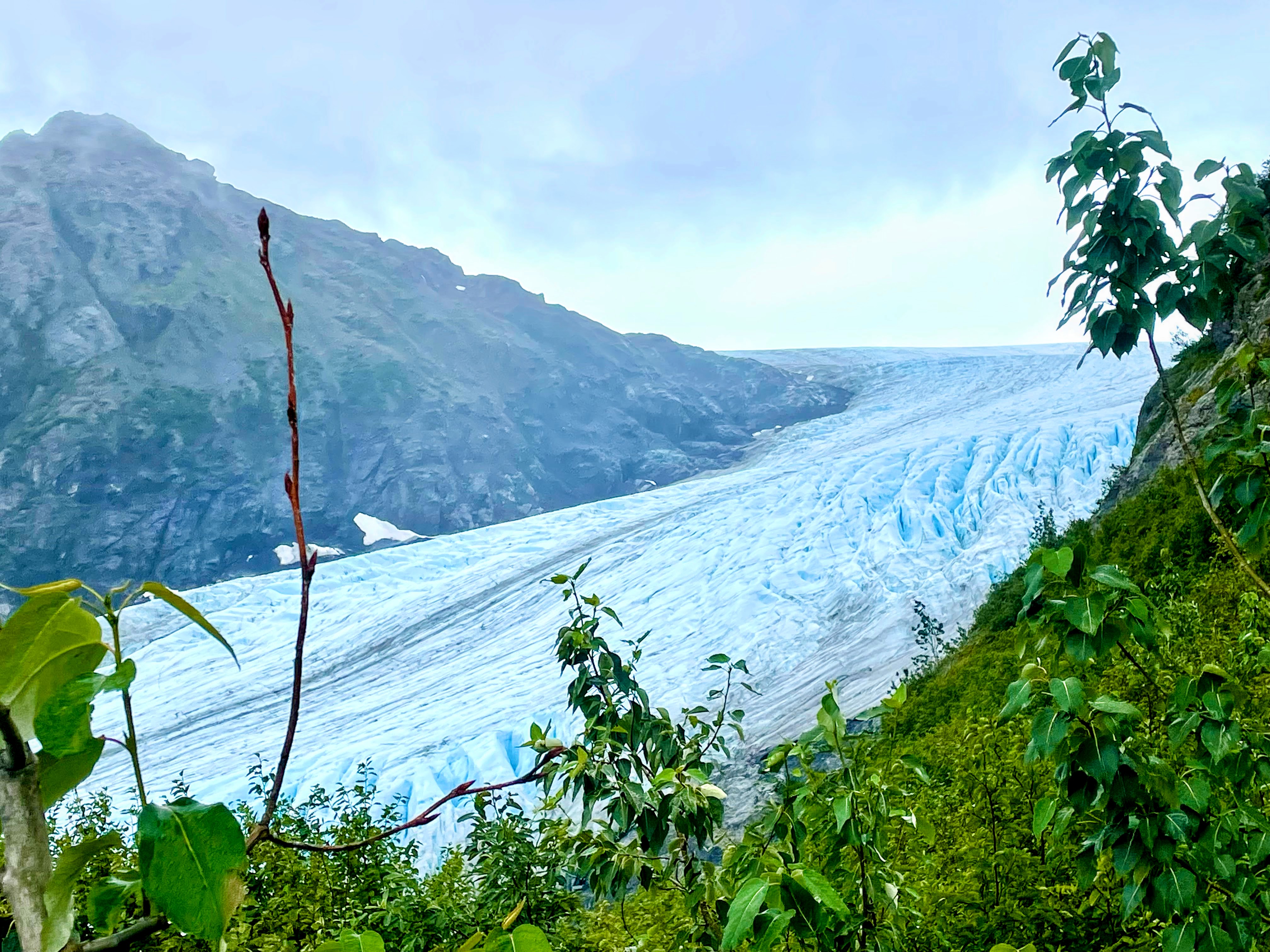 Green vegetation and a mountain with a bluish white glacier int he middle with cloudy skies