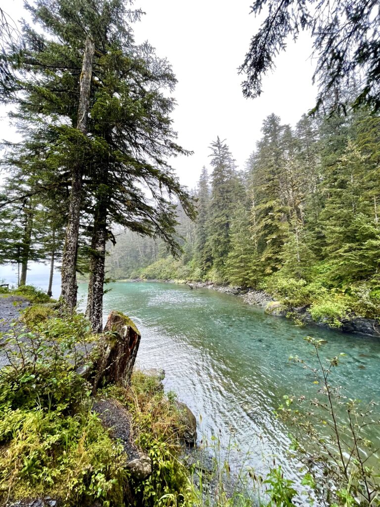 Rainy view of blue water with tall green trees on both sides