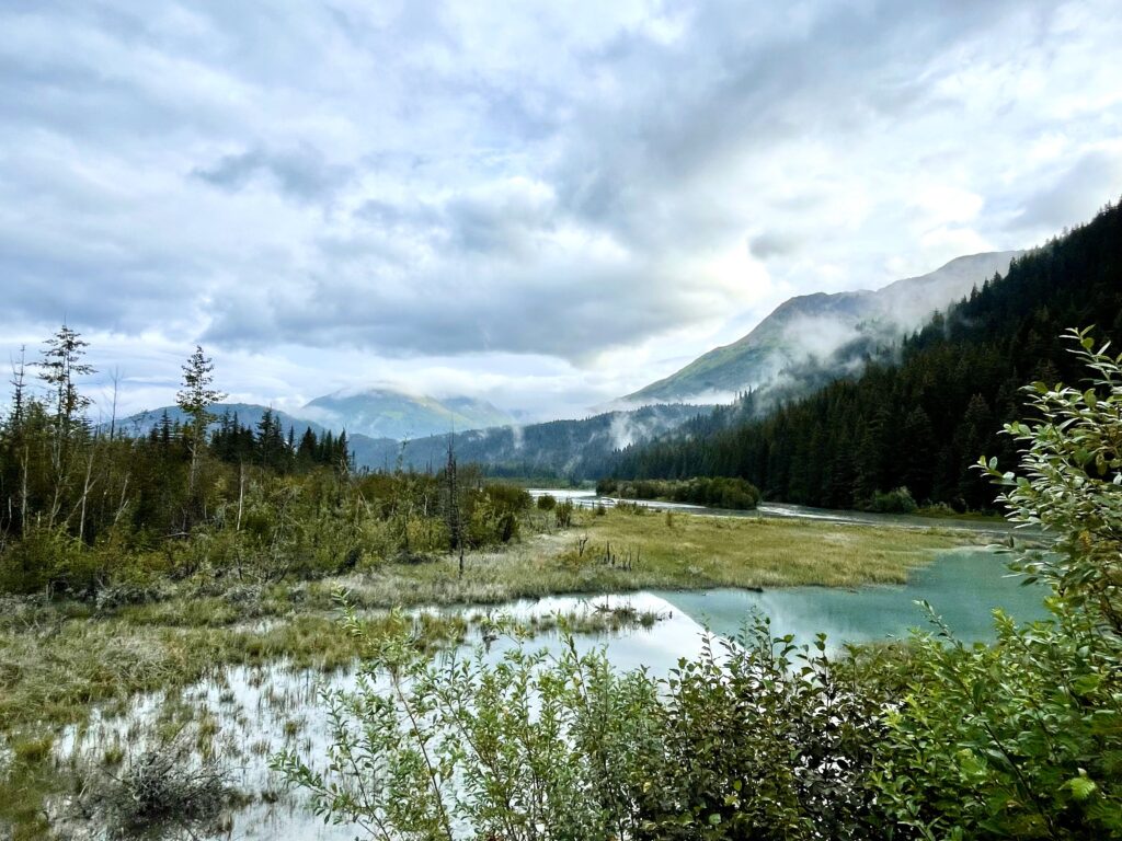 Marshy water view with mountains and clouds in the background, and greenery around the marsh