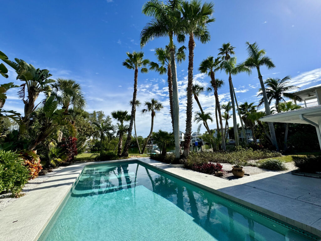 view of blue swimming pool with palm trees and blue sky