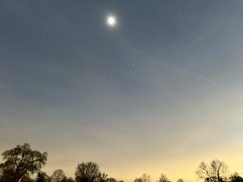 Dark blue sky with eclipse, trees along the bottom of the yellowish horizon