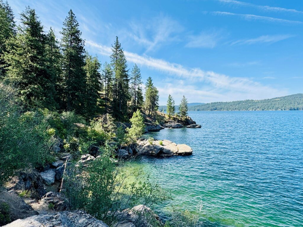 Coeur D'Alene Lake coast with pine trees and rocky areas along the blue water