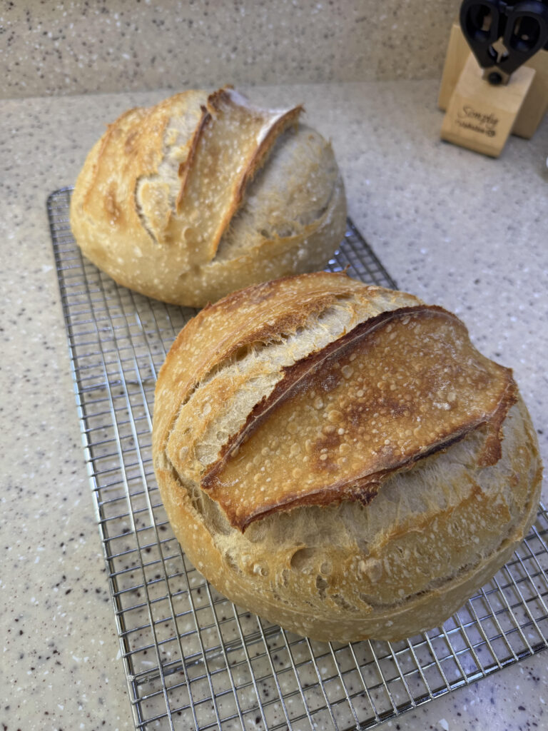 Two round loaves of sourdough bread sitting on a cooling rack on a countertop